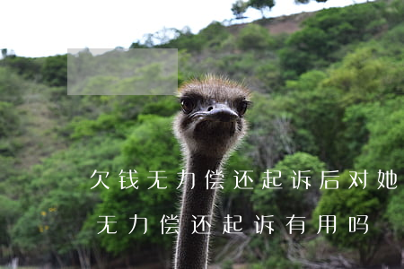 欠钱无力偿还起诉后对她有什么后果-欠钱无力偿还起诉有用吗