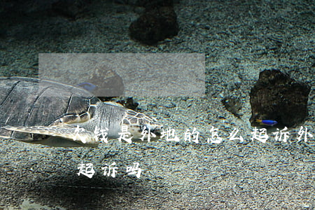 欠钱是外地的怎么起诉(外地欠钱可以回本地起诉吗)