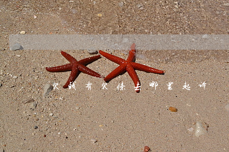 欠钱有欠条去哪里起诉