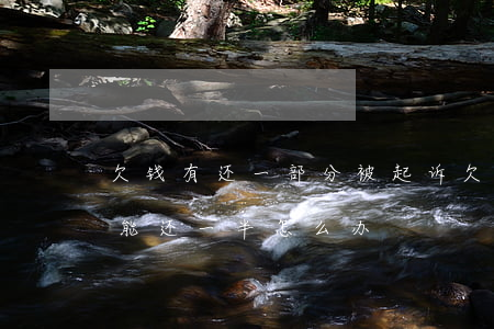 欠钱有还一部分被起诉(欠钱被起诉了,但是只能还一半怎么办)