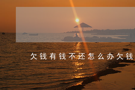 欠钱有钱不还怎么办(欠钱不还没钱还咋办)