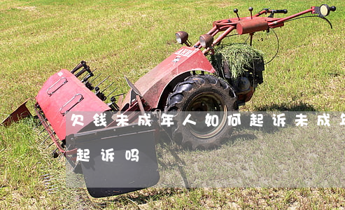 欠钱未成年人如何起诉(未成年欠钱不还可以起诉吗)