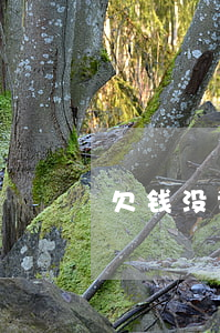 欠钱没证据怎么起诉(欠钱没证据怎么要)