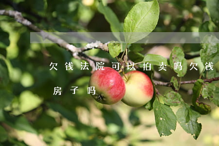 欠钱法院可以拍卖吗(欠钱不还可以拍卖他的房子吗)