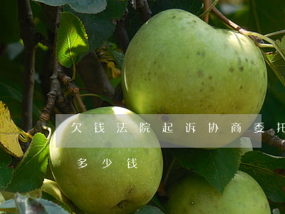 欠钱法院起诉协商委托(债务协商委托律师要多少钱)