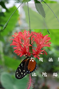 欠钱法院起诉可以派个人立案吗(欠钱可以到法院起诉吗)