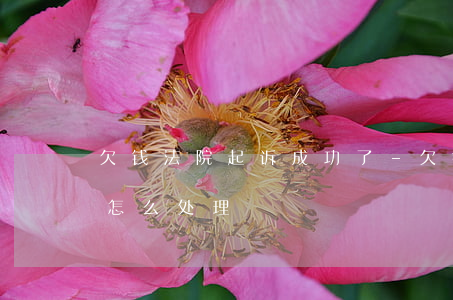 欠钱法院起诉成功了-欠钱法院起诉成功了怎么处理