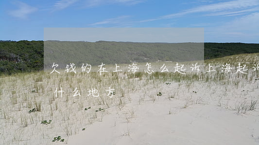 欠钱的在上海怎么起诉(上海起诉借钱不还在什么地方)