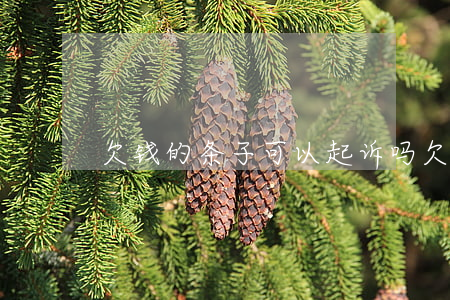 欠钱的条子可以起诉吗(欠钱有条子能起诉吗)