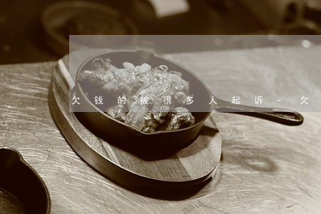 欠钱的被很多人起诉-欠钱被好几个人起诉