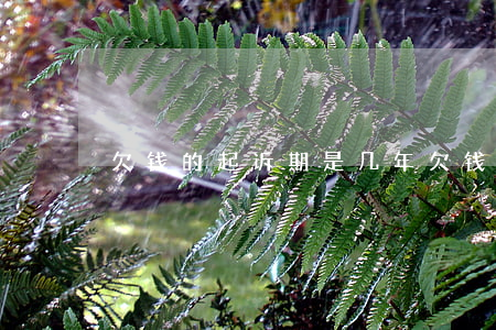 欠钱的起诉期是几年(欠钱的起诉期是多久)