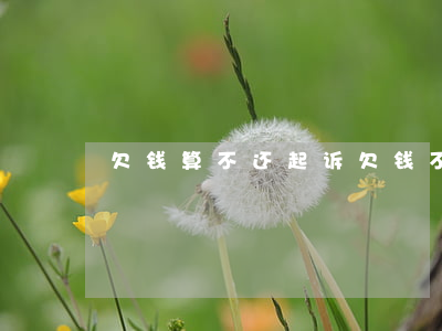 欠钱算不还起诉(欠钱不还起诉是民事诉讼吗)