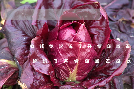欠钱给起诉了开完庭当天可以走吗-欠钱给起诉了开完庭当天可以走吗法院
