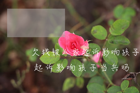 欠钱被人家起诉影响孩子考军校吗-欠钱被起诉影响孩子当兵吗