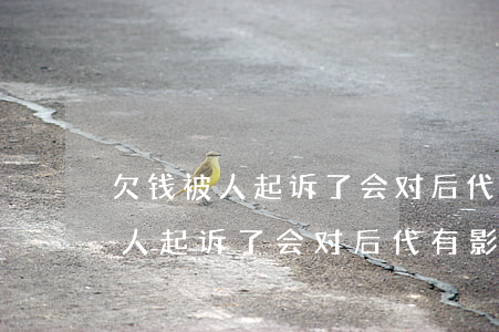 欠钱被人起诉了会对后代有影响吗-欠钱被人起诉了会对后代有影响吗知乎
