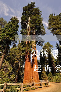 欠钱被人起诉会冻结本人所有卡吗-欠钱被起诉会冻结所有银行卡吗
