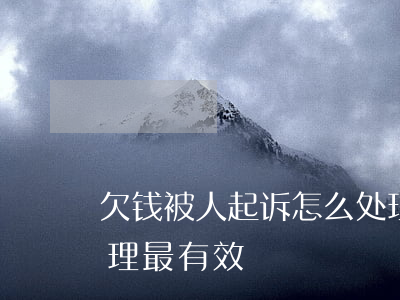 欠钱被人起诉怎么处理(欠钱被人起诉怎么处理最有效)
