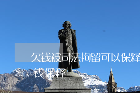 欠钱被司法拘留可以保释吗(民事拘留可以交钱保释)