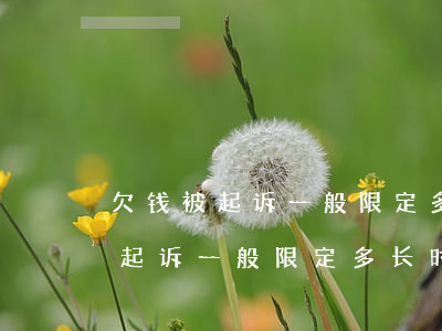 欠钱被起诉一般限定多长时间还款-欠钱被起诉一般限定多长时间还款呢
