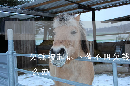欠钱被起诉下落不明(欠钱被起诉找不到人怎么办)