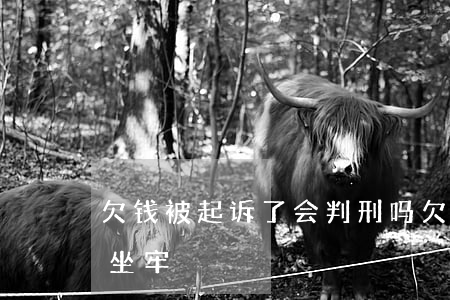 欠钱被起诉了会判刑吗(欠了钱被起诉会不会坐牢)