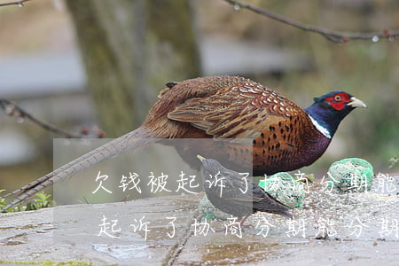 欠钱被起诉了协商分期能分期多久-欠钱被起诉了协商分期能分期多久还