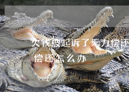 欠钱被起诉了无力偿还-欠钱被起诉没能力偿还怎么办