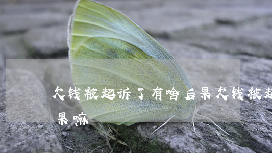 欠钱被起诉了有啥后果(欠钱被起诉了有啥后果嘛)