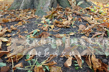 欠钱被起诉了确实没有钱还会要父母还吗（家里被起诉欠钱）