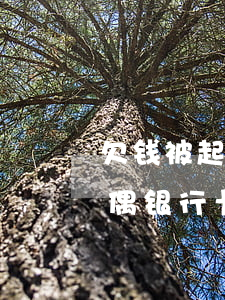 欠钱被起诉会冻结配偶(欠钱被起诉会冻结配偶银行卡多久)