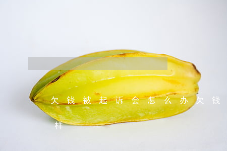 欠钱被起诉会怎么办(欠钱的被起诉了会怎么样)