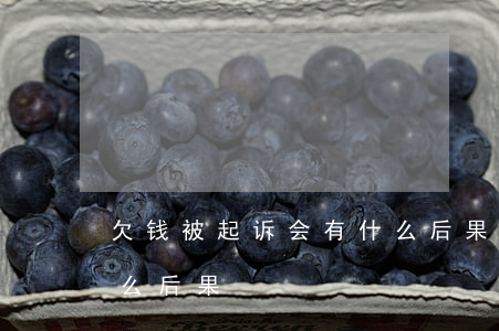 欠钱被起诉会有什么后果(欠钱被起诉会有什么后果)