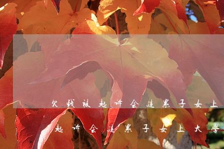 欠钱被起诉会连累子女上大学的吗-欠钱被起诉会连累子女上大学的吗知乎