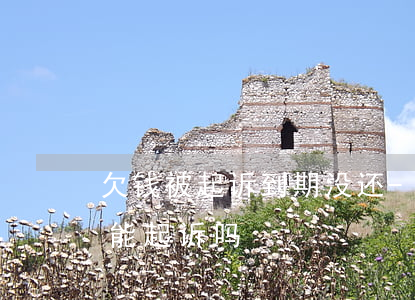欠钱被起诉到期没还-欠钱起诉时间过了,还能起诉吗