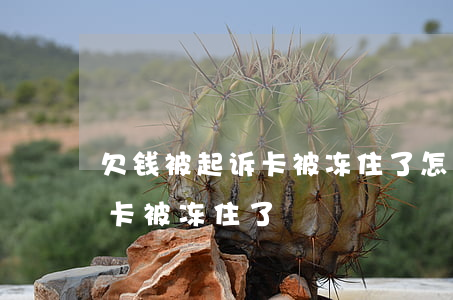 欠钱被起诉卡被冻住了怎么处理（欠钱被起诉卡被冻住了）