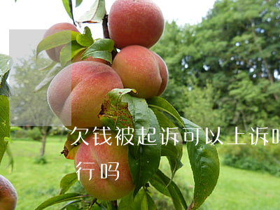 欠钱被起诉可以上诉吗(欠钱被起诉了不还钱行吗)