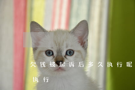 欠钱被起诉后多久执行呢（欠钱被起诉后多久执行）