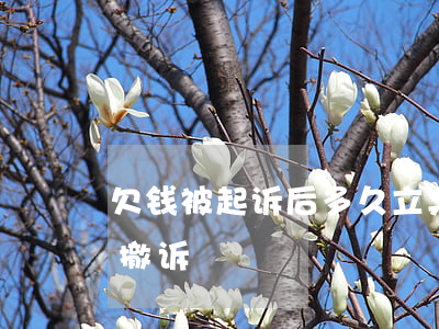 欠钱被起诉后多久立案(欠钱被起诉后多久会撤诉)