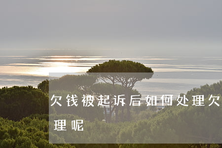 欠钱被起诉后如何处理(欠钱被起诉后如何处理呢)