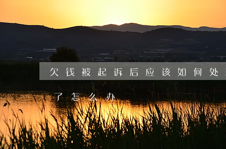 欠钱被起诉后应该如何处理(欠别人钱被起诉了怎么办)