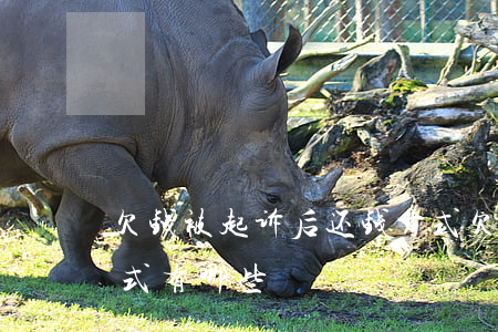 欠钱被起诉后还钱方式(欠钱被起诉后还钱方式有哪些)