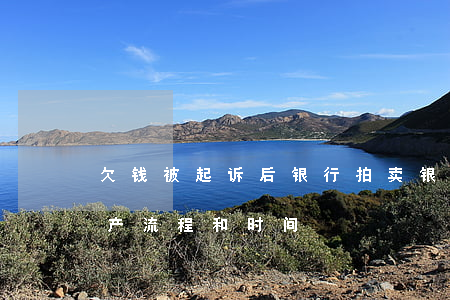 欠钱被起诉后银行拍卖(银行起诉法院拍卖房产流程和时间)