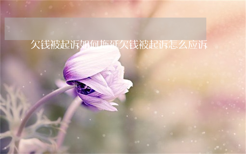 欠钱被起诉如何拖延 欠钱被起诉怎么应诉