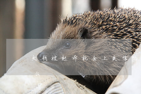 欠钱被起诉就会上失信吗（欠钱被起诉的人多么）