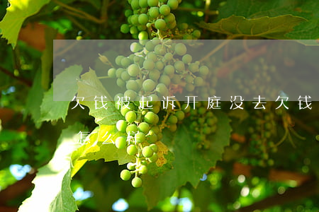 欠钱被起诉开庭没去(欠钱被起诉开庭没去会怎么样)