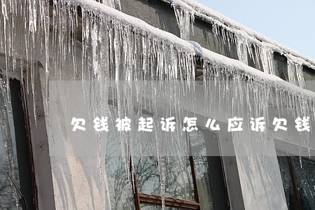 欠钱被起诉怎么应诉（欠钱被起诉有什么流程）