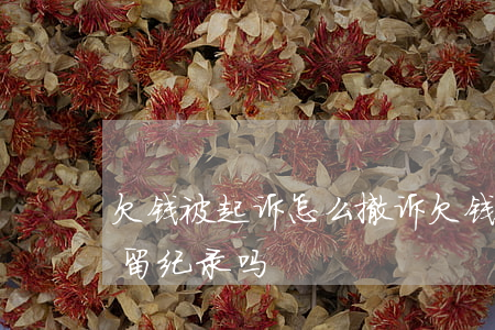 欠钱被起诉怎么撤诉(欠钱被起诉撤诉后还会留纪录吗?)