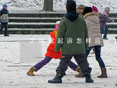 欠钱被起诉怎样应对(如果欠款被起诉怎么说)