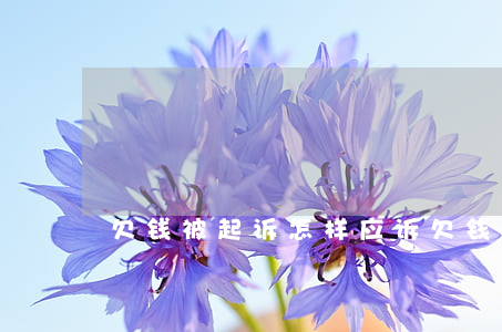 欠钱被起诉怎样应诉(欠钱被起诉了怎么调解)