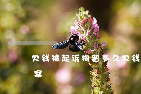 欠钱被起诉拘留多久(欠钱被起诉拘留多久结案)